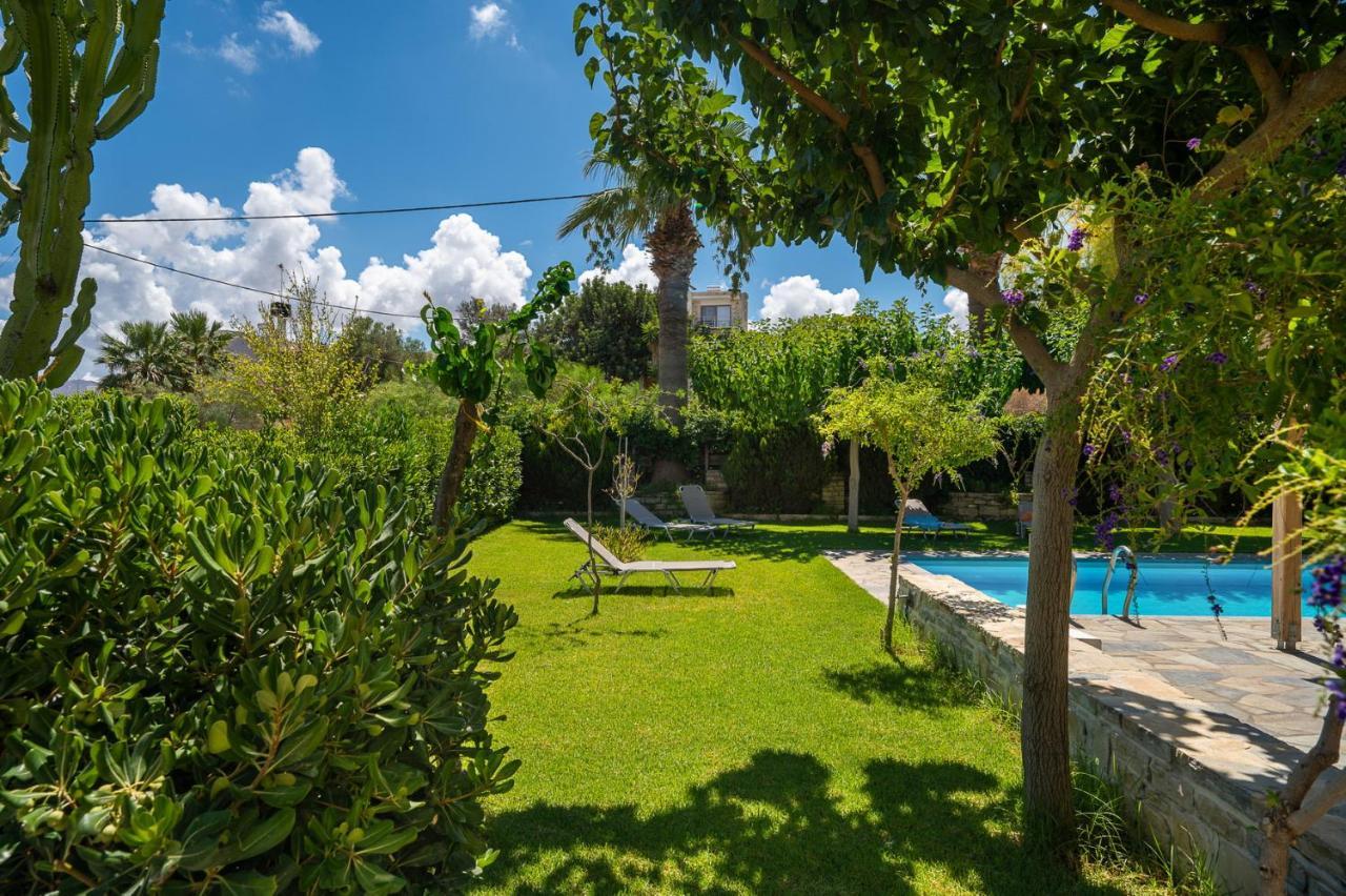 Villa Muse Pitsidia Exterior foto